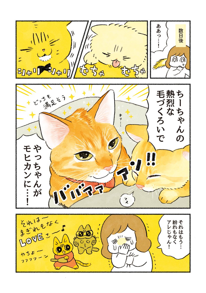 愛のモヒカン 