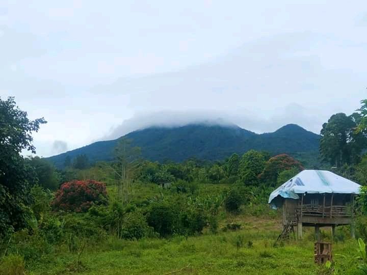 ronoguero's tweet photo. Nature always Nature 🇵🇭 https://t.co/XenHiECfCq