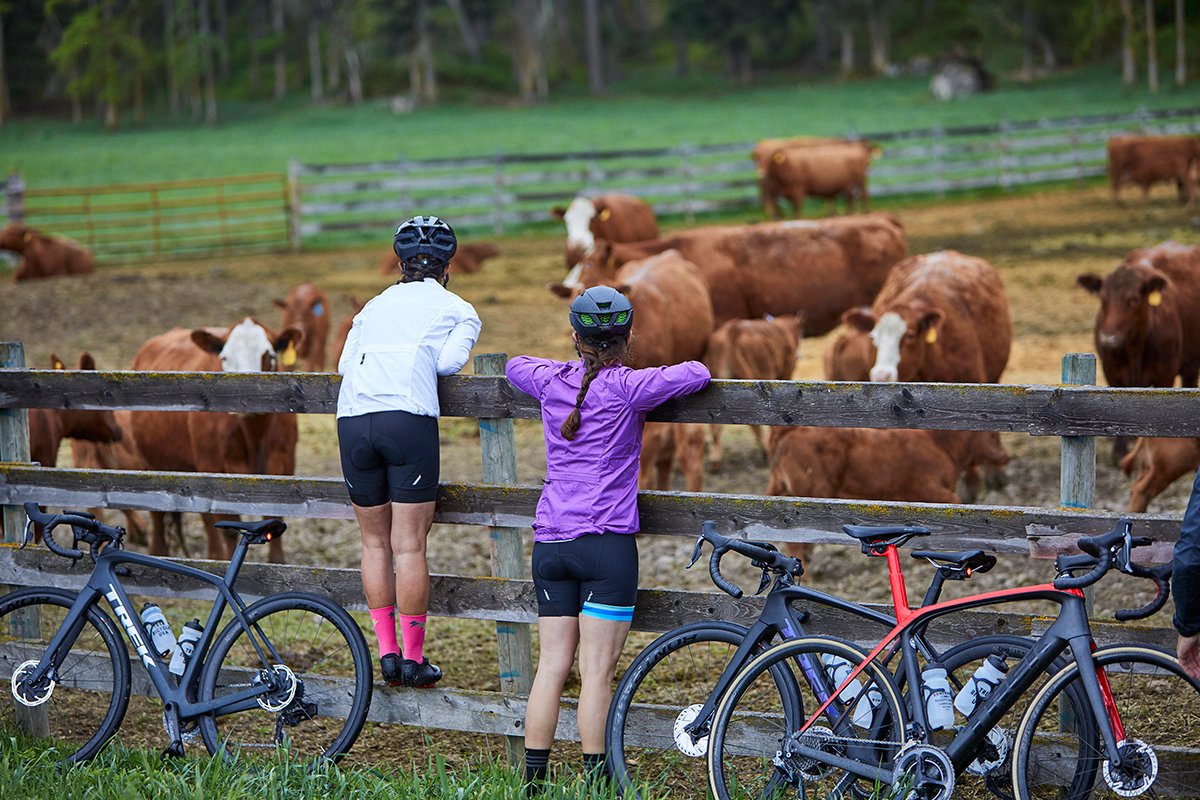 Your best bet for staying comfortable in the saddle is a great pair of bike shorts. Here is everything you need to know about wearing them: trek.bike/HowToWearBikeS…