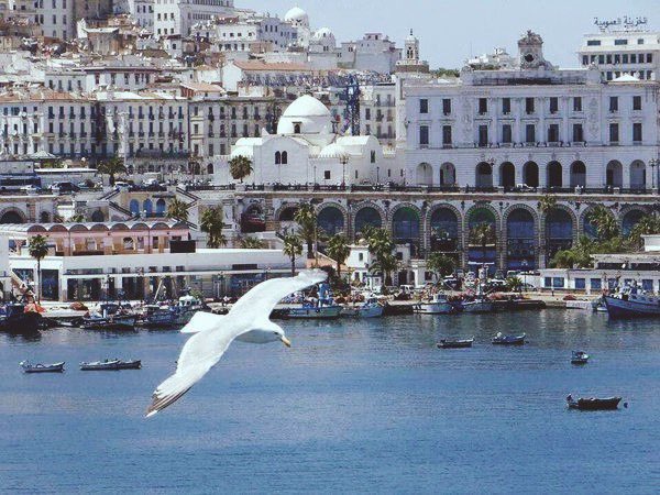 AlgeriaZaman's tweet photo. Alger la blanche https://t.co/NzeAvCoYVm