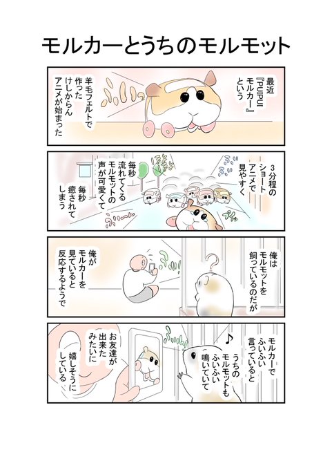 モルカーとうちのモルモット
#モルカー #モルモット #漫画 #落書き #一日一漫画 #漫画が読めるハッシュタグ #イラスト 