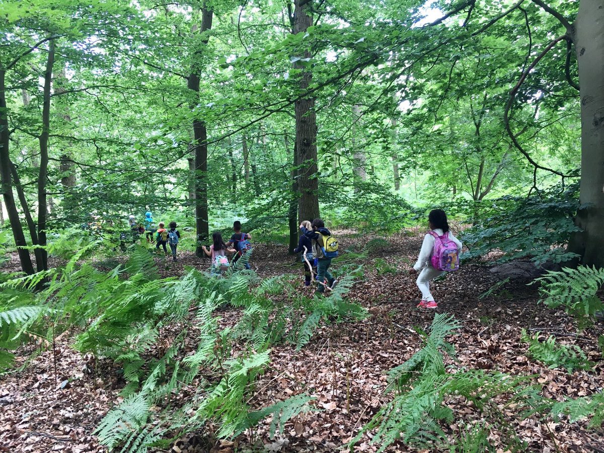 DBuitenschool's tweet photo. @daanwesterink @BoswachterTim @MinOCW Wat een fijne droom! Wij dromen ook van alle kinderen 1 dag per week buiten leren in de natuur 💚 https://t.co/6Fyn3gvOdd