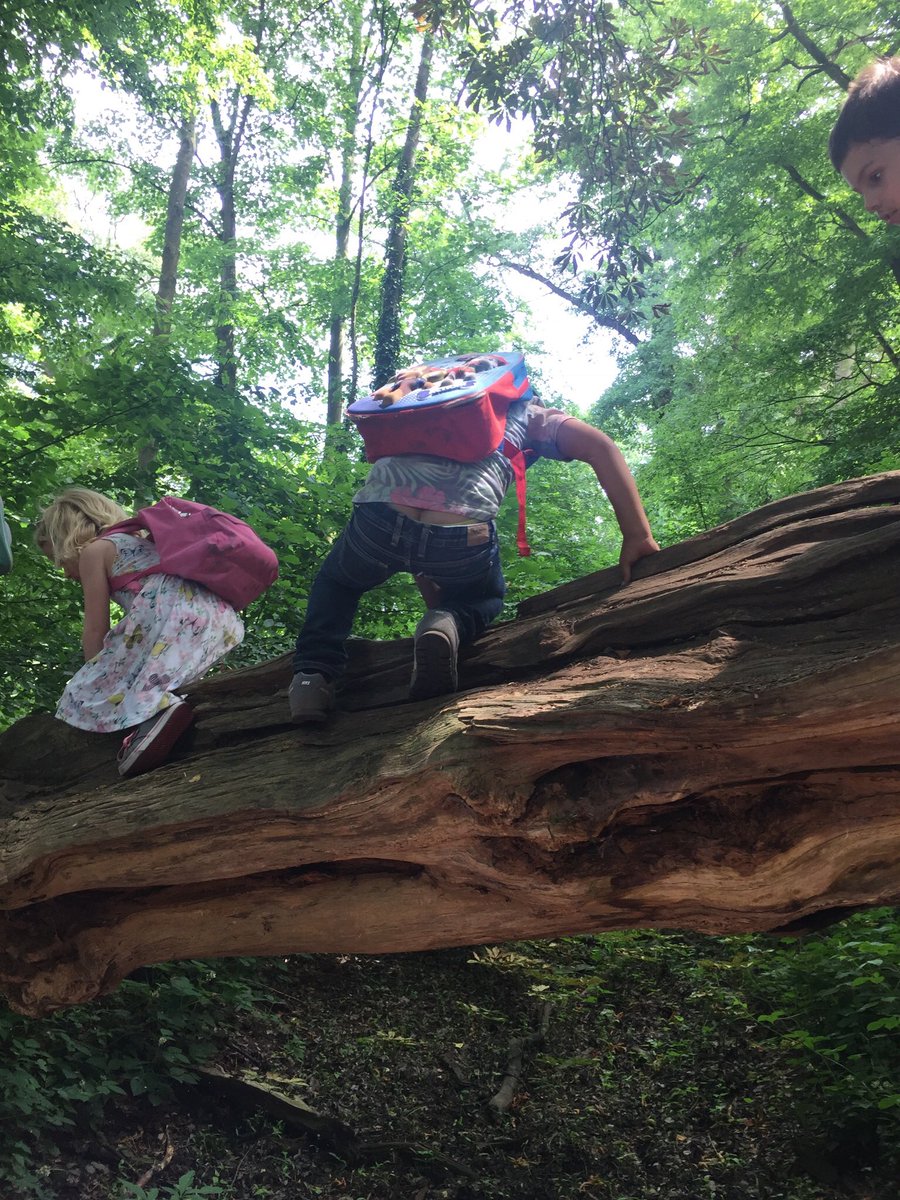DBuitenschool's tweet photo. @daanwesterink @BoswachterTim @MinOCW Wat een fijne droom! Wij dromen ook van alle kinderen 1 dag per week buiten leren in de natuur 💚 https://t.co/6Fyn3gvOdd