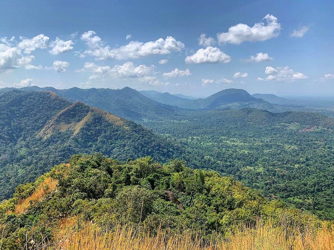 ghanaianfoodnet's tweet photo. Midweek destination views; #MountAfadjato 

Beautiful Ghana! #TravelInGhana

📸 @julianereissig View from #Afadjato, #VoltaRegionGhana
#mountainafadjato #TravelLocal #Travel2Ghana #SeeGhana #TwitterTravel #TwitterGhana https://t.co/bFYq1Hsn5v