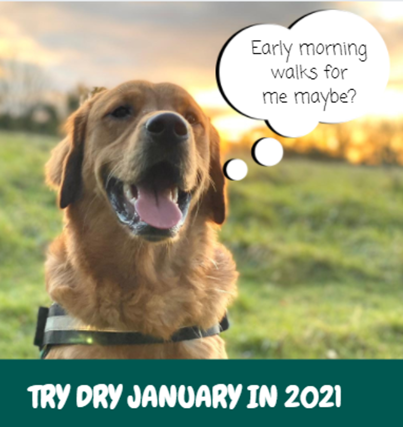 Why try #DryJanuary?  Last year, 71% of people who participated got better quality sleep – which could mean enjoying earlier mornings!  Learn more here: bit.ly/3mJ7AO2 #selfcare #sleepiskey #sleepbetter <a href="/CambsCC/">Cambridgeshire County Council</a>