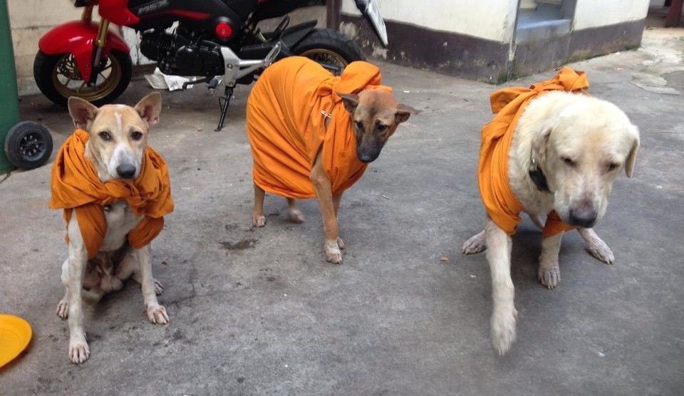 กระผมเลือกใส่เสื้อผ้าที่ไม่ฟาสแฟชึ่น