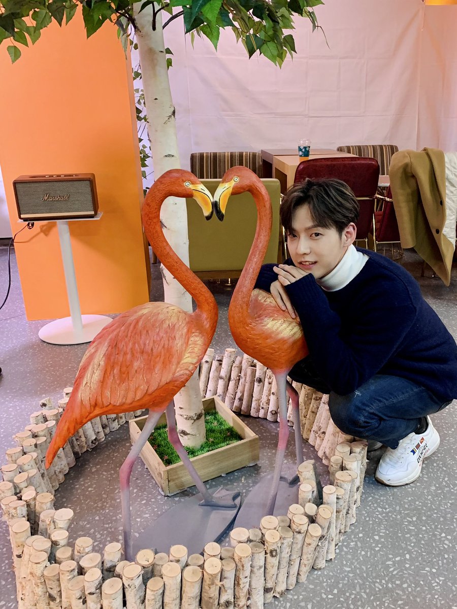 btob2mh's tweet photo. 쇼열럽 활동 미공개 사진✌️ https://t.co/hP0YZ3ZGev