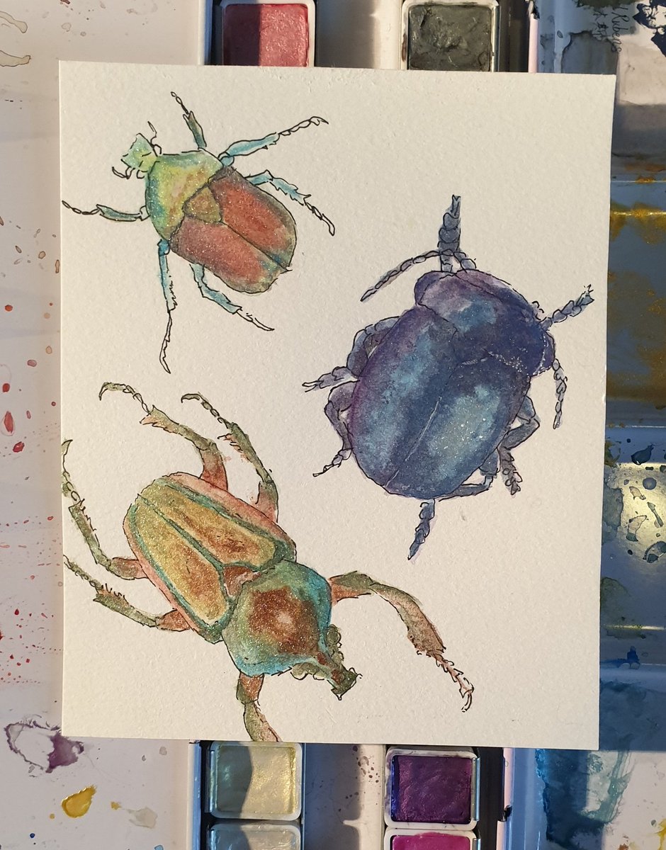 I painted some bugs using my metallic watercolour paints 

#bugs #beetles #shiny #glitter #metalic #metalicart #metalic_art #metalicwatercolour #metalicwatercolor 
#watercolor #watercolourart #watercolour_art #watercolorart #watercolor_art 
instagram.com/p/CJ_EJO9hkq4/…