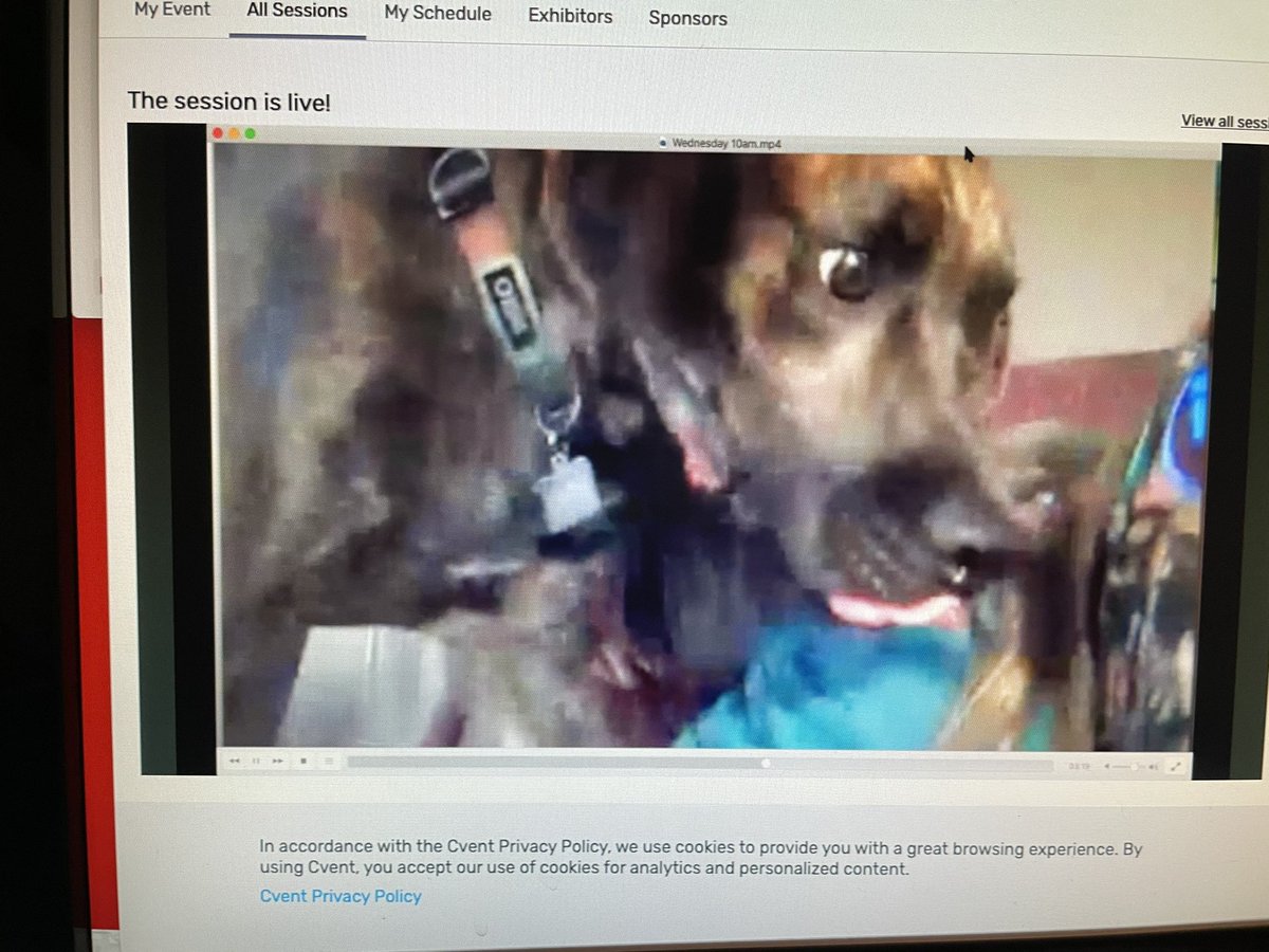 Brady Baxter tweet media