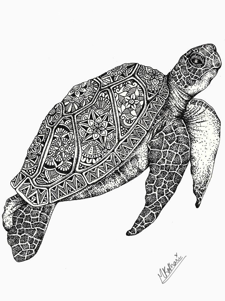 Mahek_3012's tweet photo. Do not let fear confine your life Inside a shell of doubt; A turtle never moves until his head is sticking out. 🐢
Reference : @Pinterest
#artistsontwitter #AcademicTwitter
#SciArt @OpenAcademics https://t.co/SpR20T4vpw