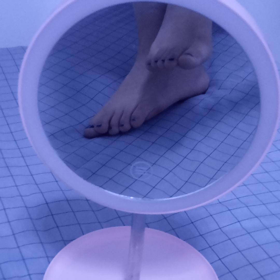 按时交公粮