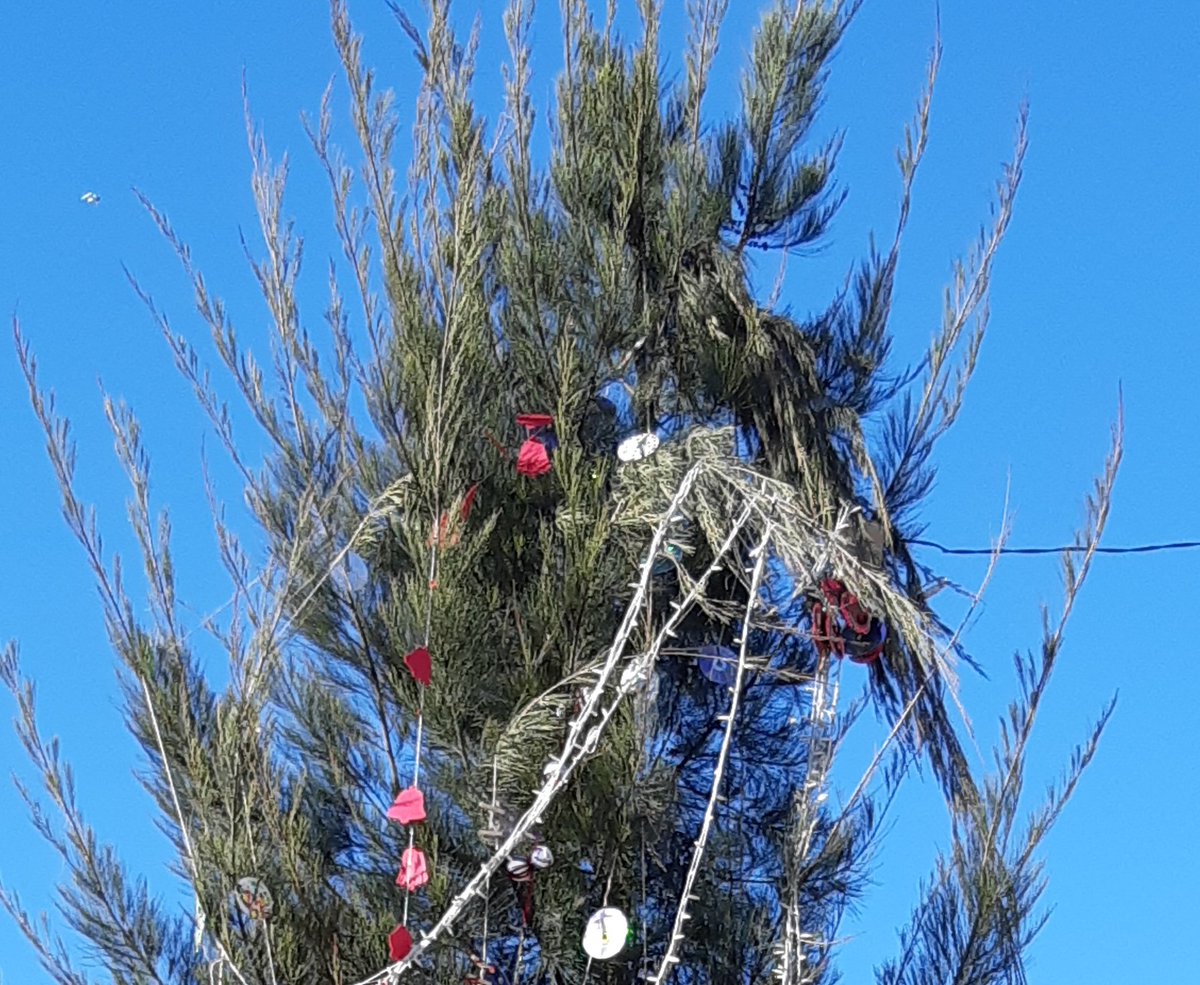 Hola, <a href="/sbdterritori/">Sbd Acció Territorial, Participació i Voluntariat</a> al final se ha roto el ápice del árbol del #ParcNord de #Sabadell, por la mierda de instalación que habéis hecho este año, miles de euros rotos por vuestra incompetencia, sois unos inútiles, solo sabéis estropear la ciudad. El #Nord también existe