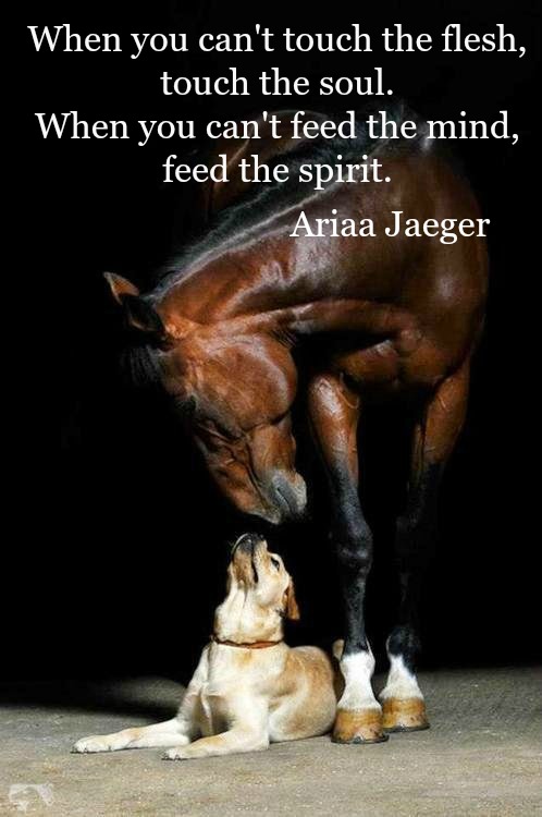 AriaaJaeger's tweet photo. You may not be able to hold your loved ones or hug your friends but you can touch a heart and feed a spirit all day long.
"When you can't touch the flesh, touch the soul, when you can't feed the mind, feed the spirit." ~Ariaa Jaeger
#WednesdayElevation https://t.co/DW8HE7MJnr