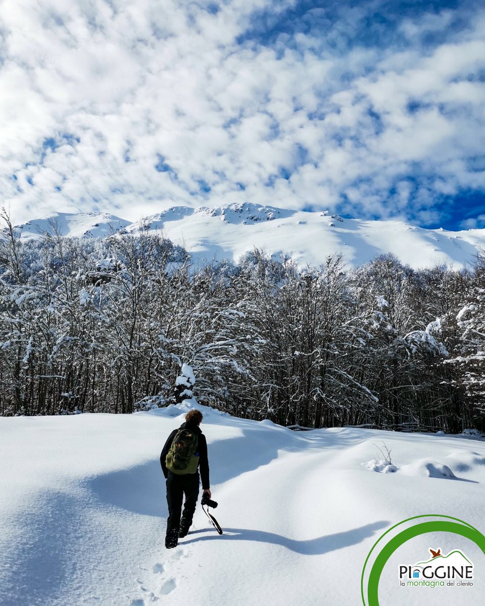 montagnacilento's tweet photo. Respirare aria pulita, fresca.
Camminare a passo lento.

Sentire la neve, soffice, sotto gli scarponi.

Lasciare le impronte del proprio cammino. 

Voltarsi per vedere la strada che abbiamo percorso. 

Guardarsi intorno e sentire che siamo in un luogo speciale. 🏔

#MonteCervati https://t.co/OJNj0rqIM5