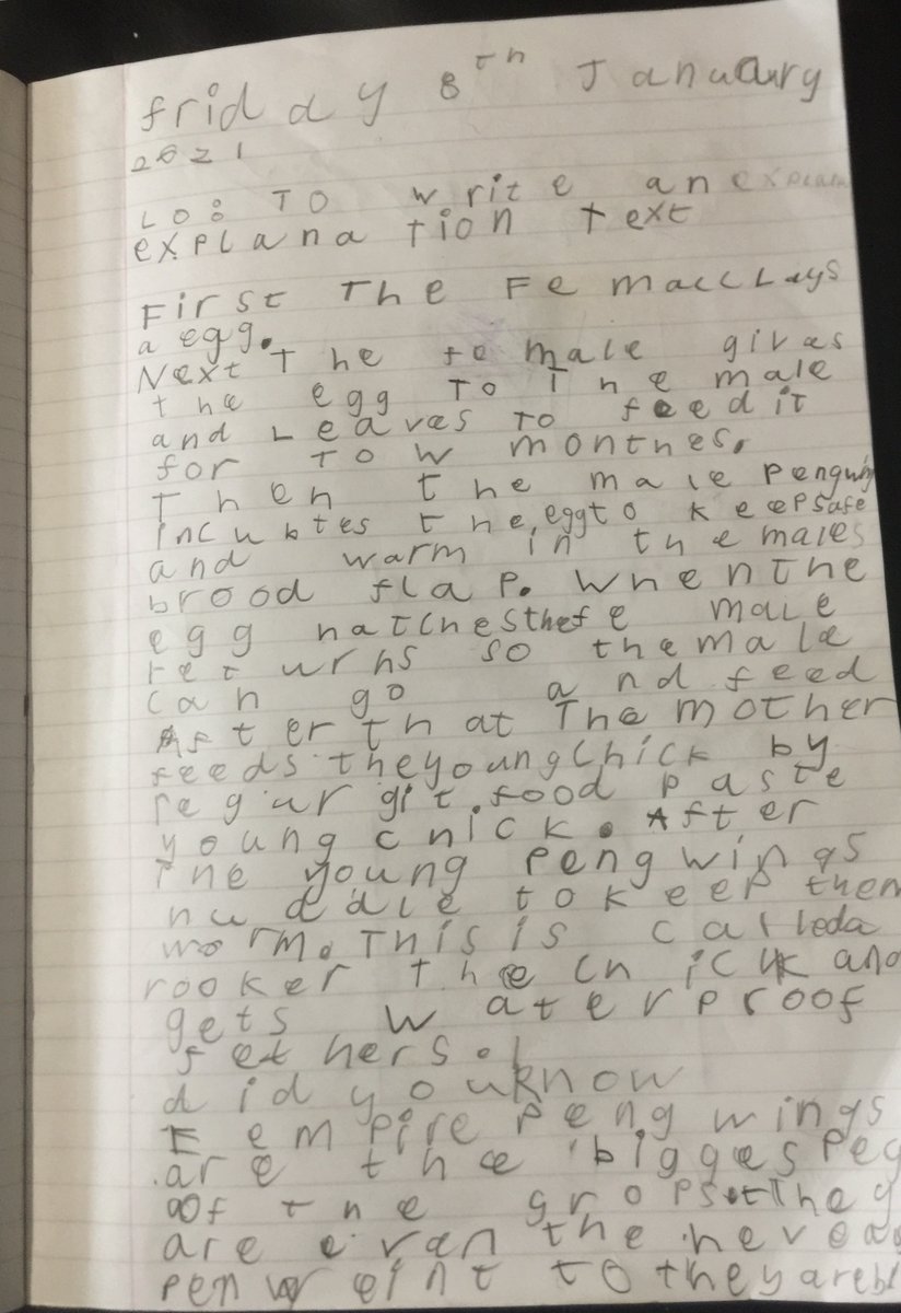 olive_hackney's tweet photo. Wow! Look at this wonderful piece of writing from Tahoora P in Year 2 all about penguins ๐ง We have loved reading your writing Tahoora! Well done little #superstar! Keep up the great work! ๐ฅฐ๐๐ #WeAreStar #remoteteaching #writerinthemaking https://t.co/tNzMqKFVfw