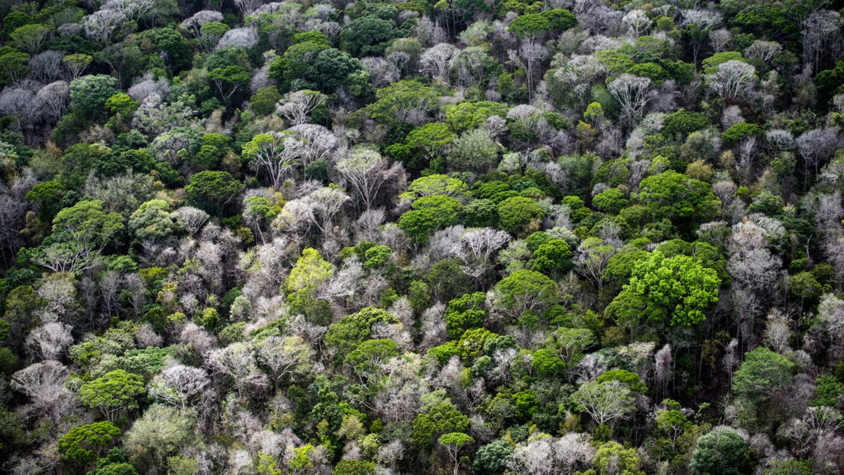 c_degrees's tweet photo. ‘Carbon-Cycle Feedbacks’ Could Drive Temperatures Even Higher

https://t.co/44C341Iig3

#2DegreesC #Environmentalist #Outdoors #Hiking #Mountain #CaringForLand #Wilderness #Wildlife #TheGreatOutdoors #ForestExperience #Eco #Green #EarthMatters #EcoLoving #Exploring #LoveEarth https://t.co/7oZE5Hyh0o