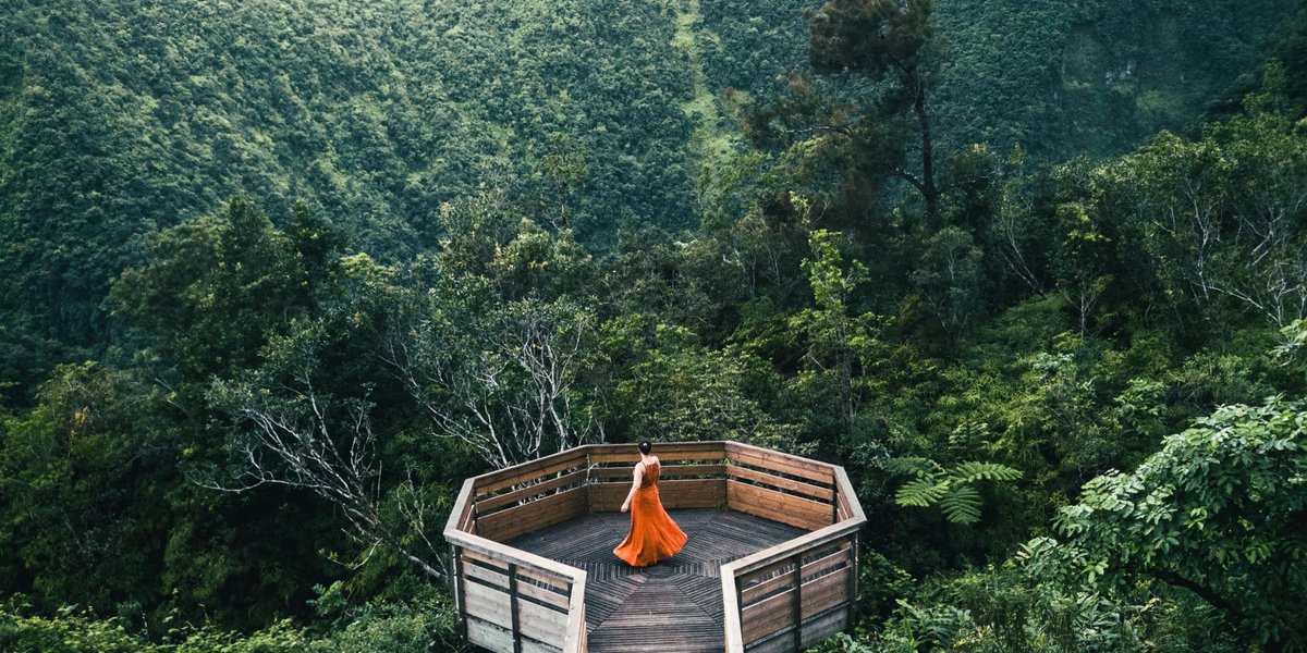 ReunionTourisme's tweet photo. La Réunion, une île tropicale les pieds dans le lagon et la tête dans les étoiles.🌳⭐🌊 

➡https://t.co/UdxWRNgUJn

#LaReunion #ileintense #gotoreunion #reuniontourisme https://t.co/yhTmbjSVE4