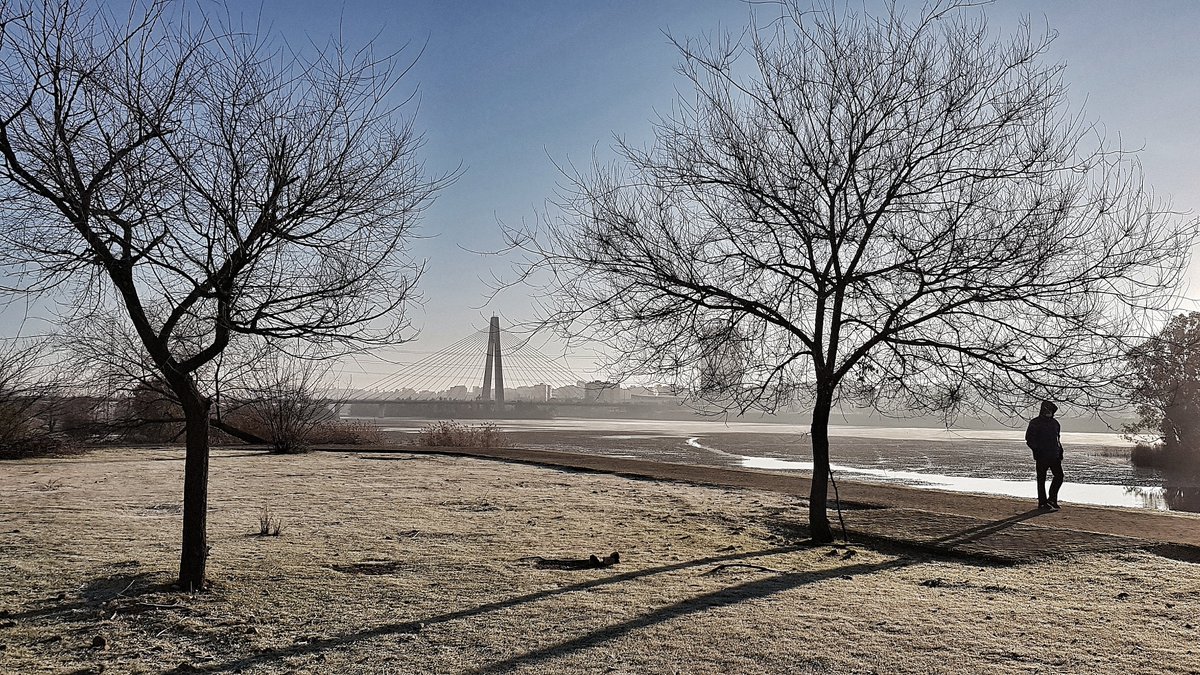 ❄️ Así amanecía esta mañana la ribera del #Guadiana en #Badajoz.

#helada #invierno #dipbdjz