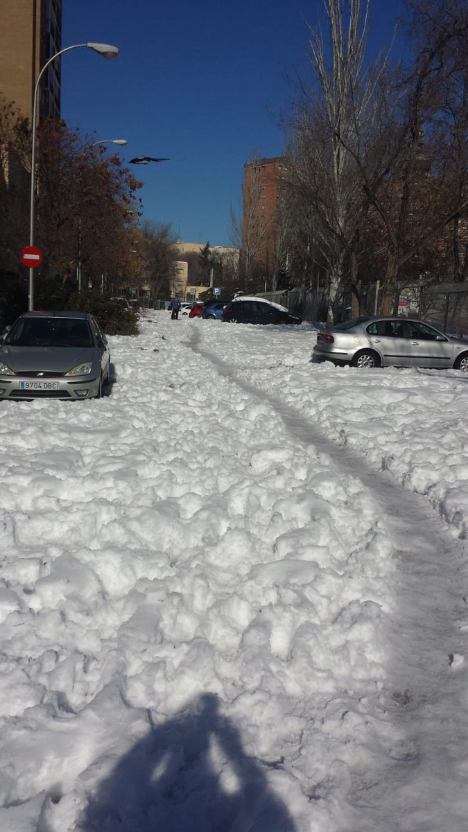 Nacho_Murgui's tweet photo. Mientras @SantiagoSauraCs, responsable municipal del distrito, se pasea con su líder político nacional y @AlmeidaPP_ se centra en hacer marketing, las calles presentan estas imágenes. Todas corresponden a problemas de competencia municipal. #DesastreAlmeida https://t.co/jbbqiPTFTE