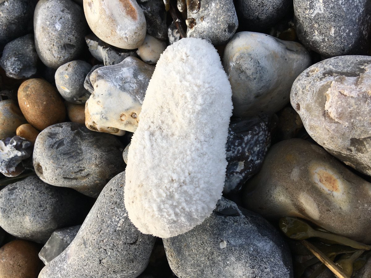 snuffleapagus's tweet photo. ๐ฅถFrozen #pebbles on the beach! Good demonstration of #AlbedoEffect as white ones stay frozen longest๐ฅถ Brrrr! #MicroCoasts #ScienceInAction https://t.co/YZ8grCsibY