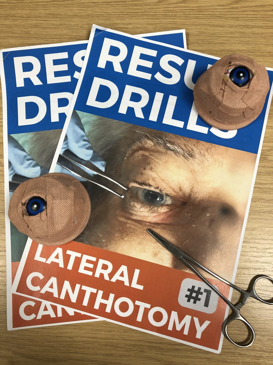 drsarahedwards's tweet photo. Eye-Eye 👁 ✂️ 

Doing some Lateral Canthotomy teaching with @TJCoats 

#resusdrills @FfionDavies4 

Find the drills here ➡️ https://t.co/vToDbyxnxn https://t.co/AqLHZprZvD