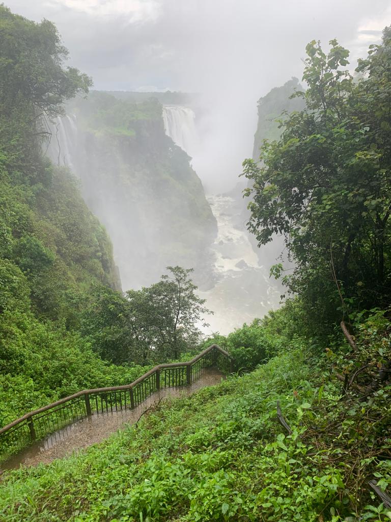 Victoria Falls Guide tweet media