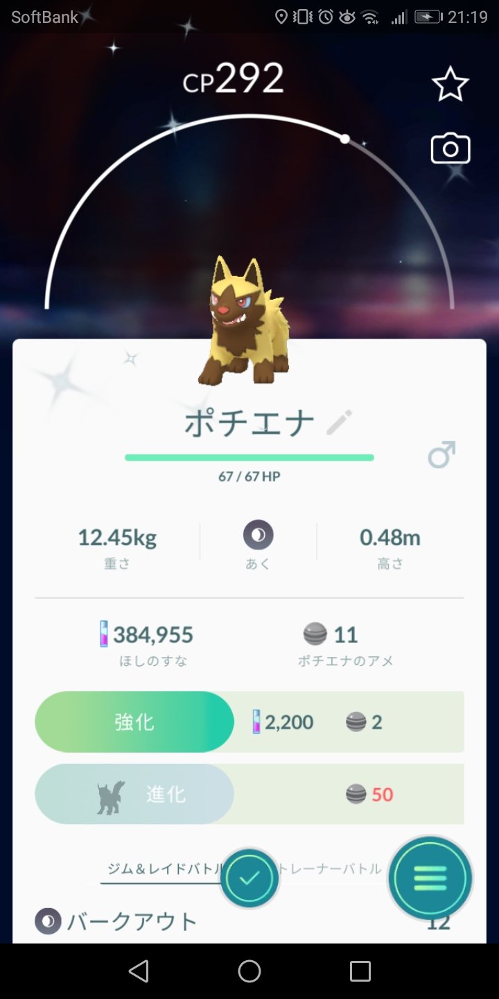 旅人サニーゴ ポケモンgo地域限定 Go Twitter