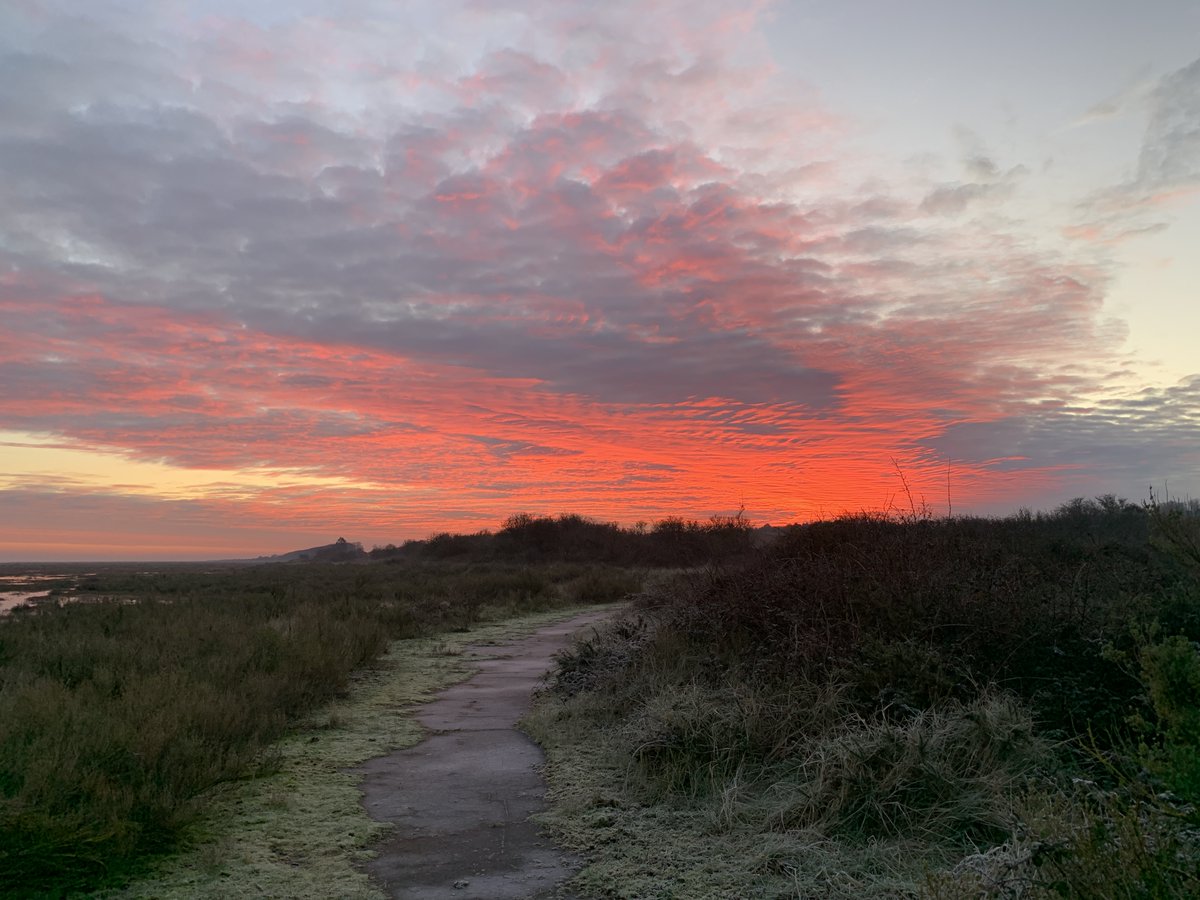NorfolkCoastNT's tweet photo. What a sunrise! Ranger Leighton was out at dawn counting 2714 Pink-footed Geese leaving their overnight roost at Stiffkey, contributing to understanding how they are faring. Alongside seeing a Barn owl, Peregrine and a Merlin hunting over the saltmarsh, he saw this lovely sky. https://t.co/USqBxZwmu7