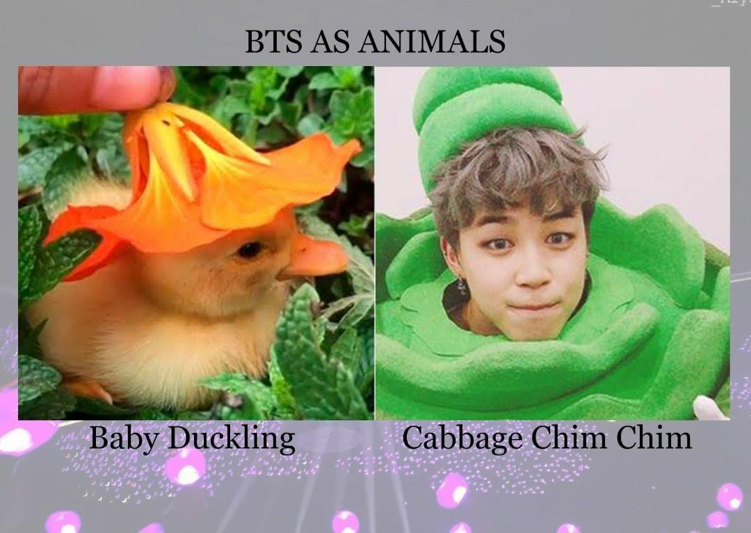 ultdaebun's tweet photo. These pictures the same energy 🥺 https://t.co/Do9prgE4Dw
