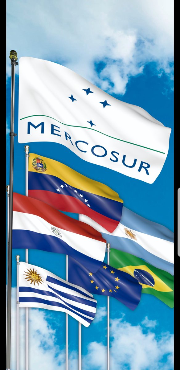 mercoexoficial's tweet photo. Un origen común, un mismo destino ¡Prosperidad y progreso!#Mercoex #Mercosur #SomosMercoex #ComecioExterior #Covid-19 #QuedateEnCasa. 🏠 https://t.co/0qHIjDqZ0e
