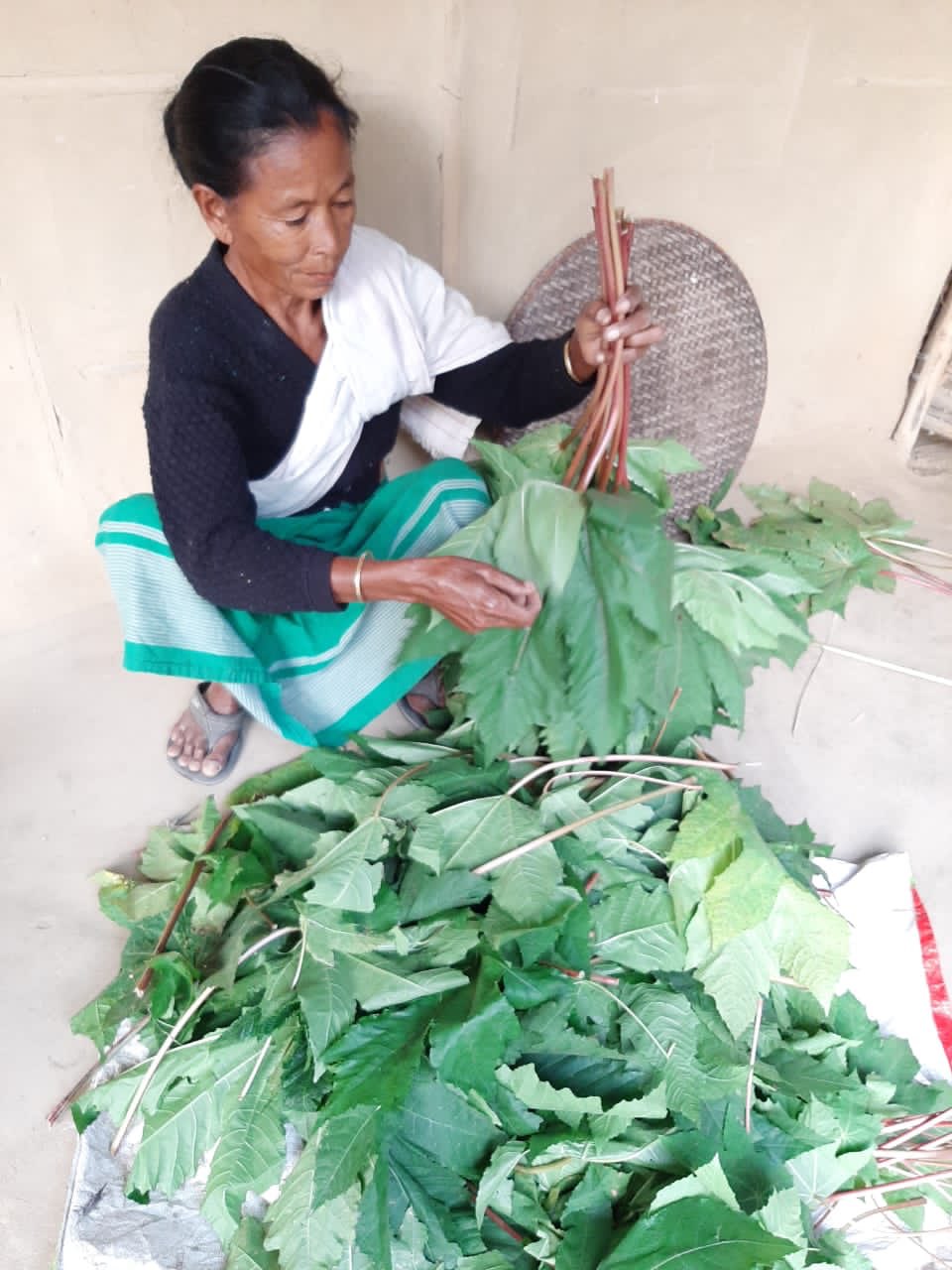 The Better India on Twitter "Eri Silk The Fabric of Peace 