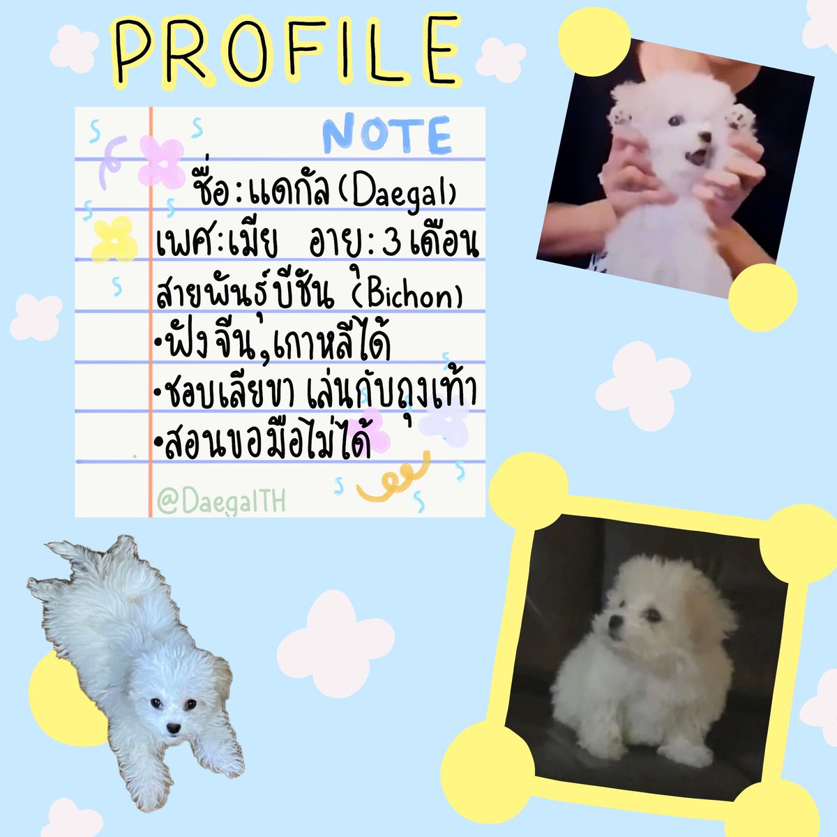 Daegal Thailand tweet media