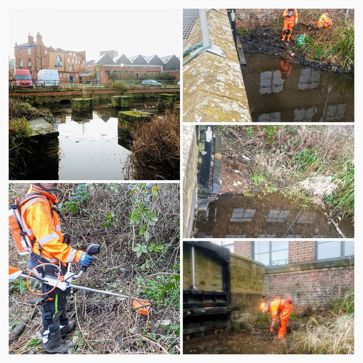 RiverStewards's tweet photo. Great to kick off the year with a project working alongside our favourite community group in Kelham Island -  #KINCA - to clear out parts of the goit. Improvements to #biodiversity and #publicengagement  on this fascinating backwater of the #riverdon https://t.co/3iXlOCsjru