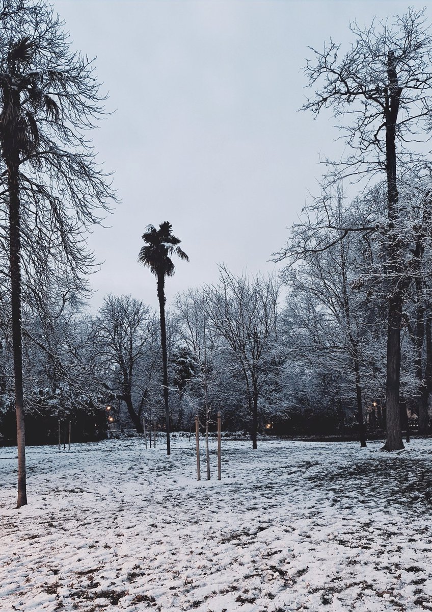 _rmleon's tweet photo. Tirando de carrete, primer día de nieve en Madrid 🌨   #parquedelretiro #NieveenMadrid https://t.co/g2DsiLGXoI