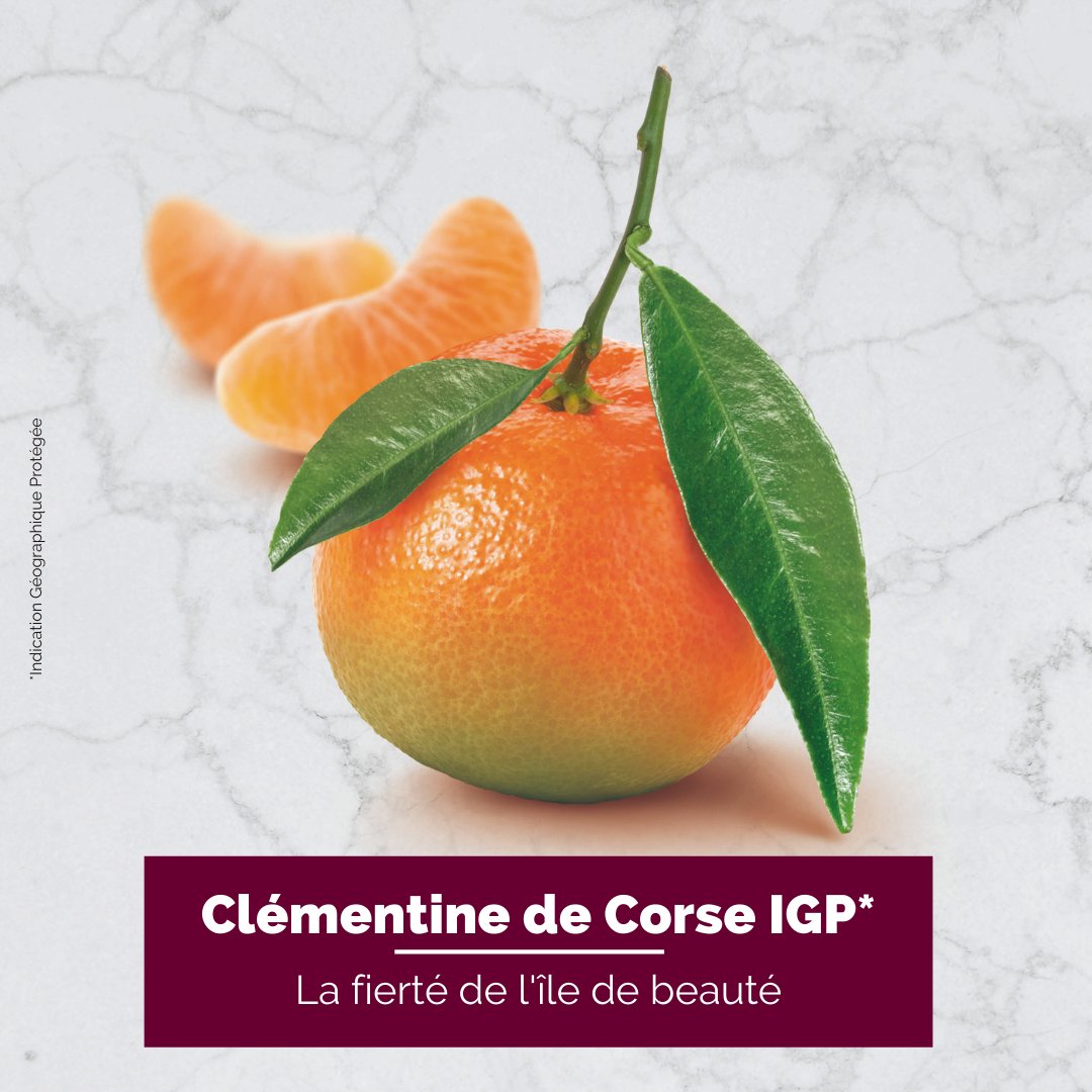 Sublimez vos recettes avec une saveur unique.
Pulpeuse et gorgée de jus, la Clémentine de Corse IGP est cultivée près d’Aléria, entre mer et montagne. Ce terroir exceptionnel lui donne un goût unique, à la fois sucré et acidulé. hubs.ly/H0DLg3D0