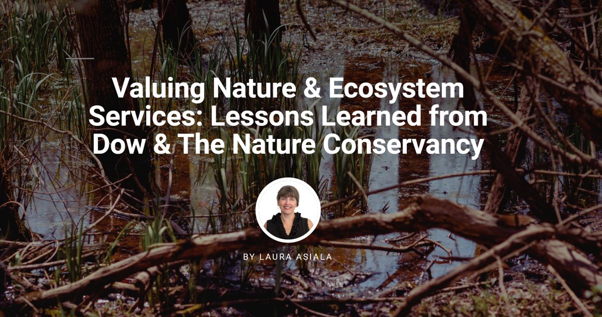 LauraAsialaCSR's tweet photo. In case you missed @CGLRGreatlakes event w/ @mary_draves @DowNewsroom featuring their decade of work w/ @nature_org, you're in luck! We recorded it &amp; posted here with a full summary: https://t.co/ce3zwBdjVe. Also check out the #ESII tool https://t.co/quBkzuMNKm #CSR #ValueNature https://t.co/xFNkoDCJud