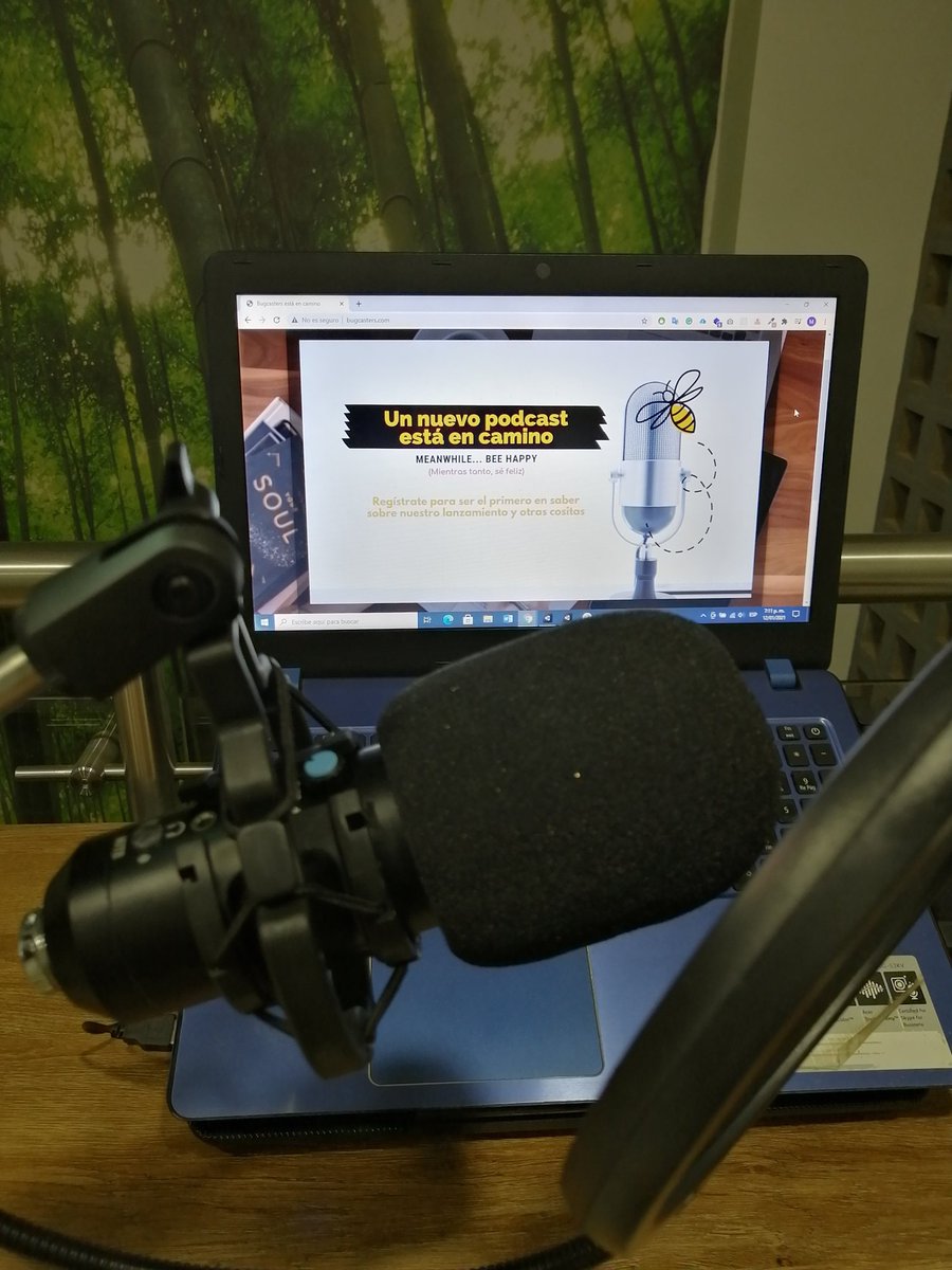 bugcasters's tweet photo. Ya casi llega... "Meanwhile...Bee Happy" (mientras tanto...Se feliz)...
En @bugcasters trabajamos para divertirnos y divertirlos... Muy Pronto 🤭🐝🤗💛
#Bugcasters #Podcast https://t.co/GapiyAJWqS