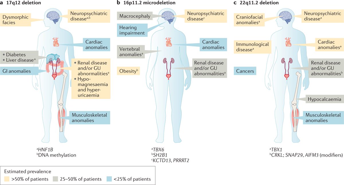 Nature Reviews Nephrology tweet media