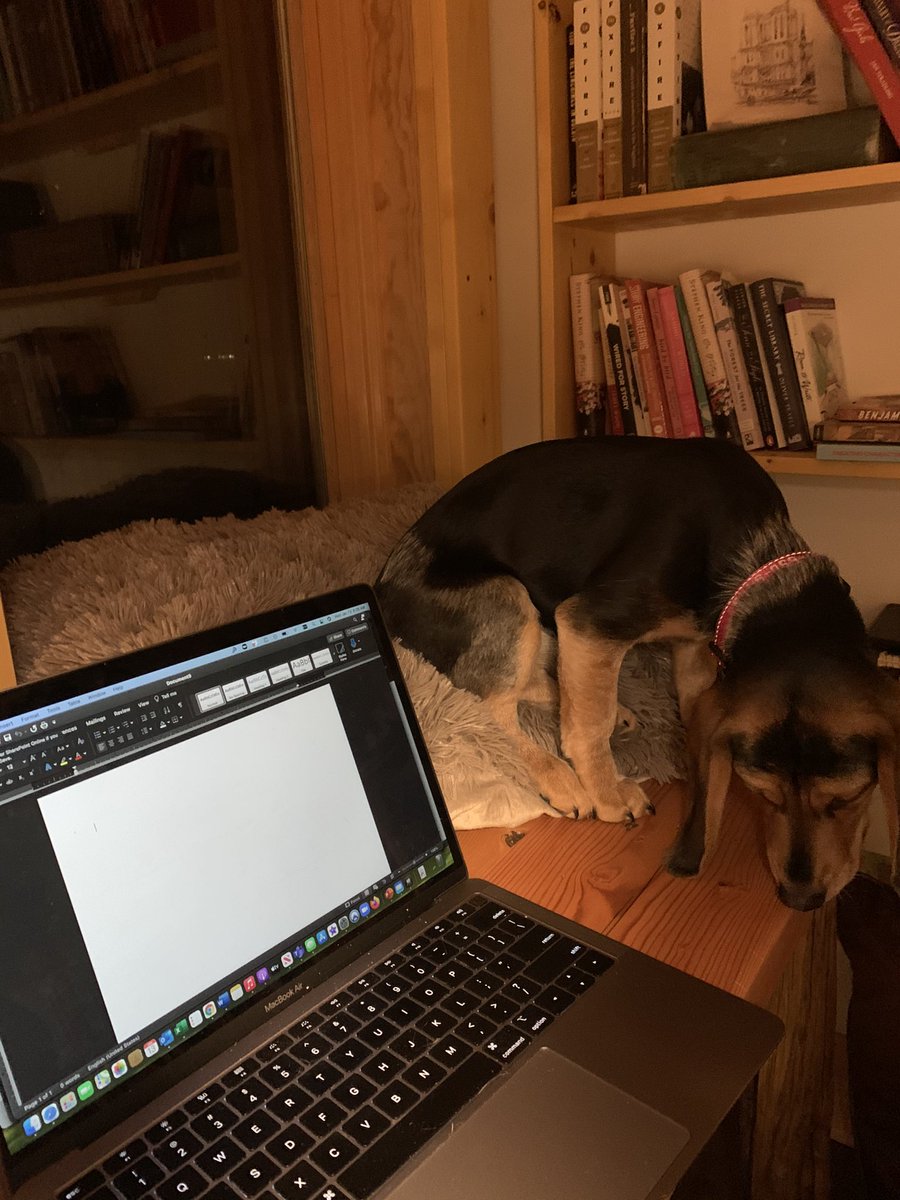 juliannepatty's tweet photo. Wee hours writing in the Snuggery. With my helpful #beagleassistant of course. https://t.co/tsxTY7P0FV
