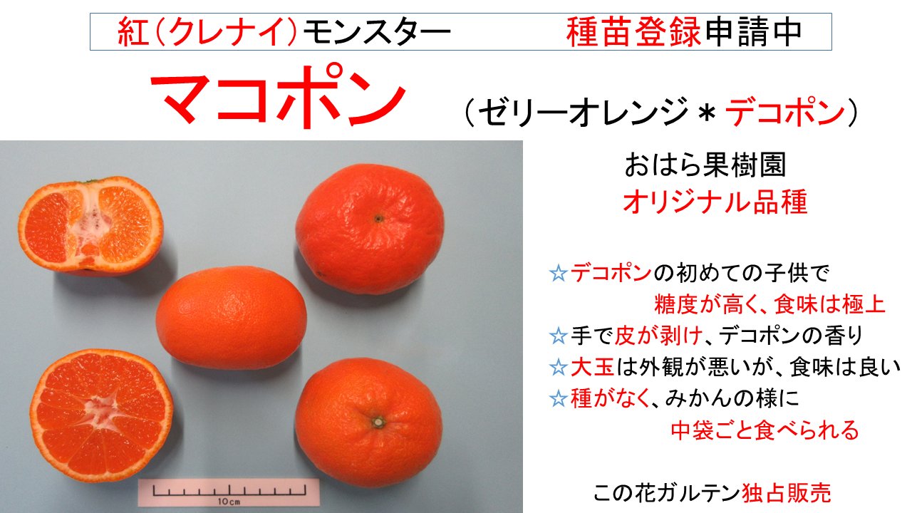 みかん100種届くサブスク｜かんみ on X: 
