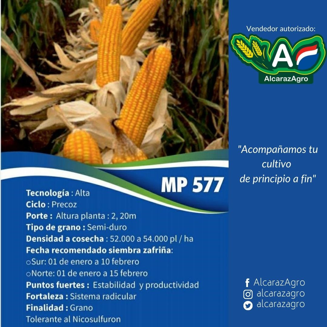 ingrapar's tweet photo. ¡AMIGO AGRICULTOR! 
Te presentamos las variedades que conforman a nuestra "Línea MAÍZ AlcarazAgro" 🇵🇾🌽 
De la mano de CADEC tenemos a tu disposición los mejores Híbridos Mazpar, semillas de alto desempeño, que te ofrecen una excelente relación costo-beneficio https://t.co/ELi8ncUThj