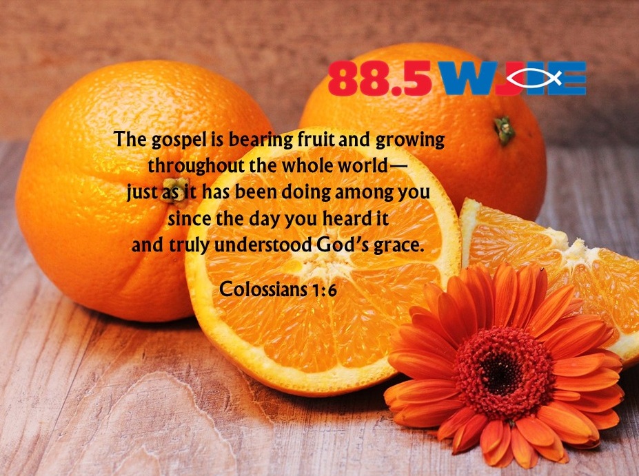 Today's #WJIEWord4Day comes from Colossians 1:6.
"The gospel is bearing fruit and growing throughout the whole world—just as it has been doing among you since the day you heard it and truly understood God’s grace."
