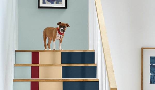 RealtorRequejo's tweet photo. Discover Nature-Inspired Paint Trends for a Calming Home - Susan Brewer Service First Re... https://t.co/ML79gKl703 https://t.co/UmKF1DtZN4