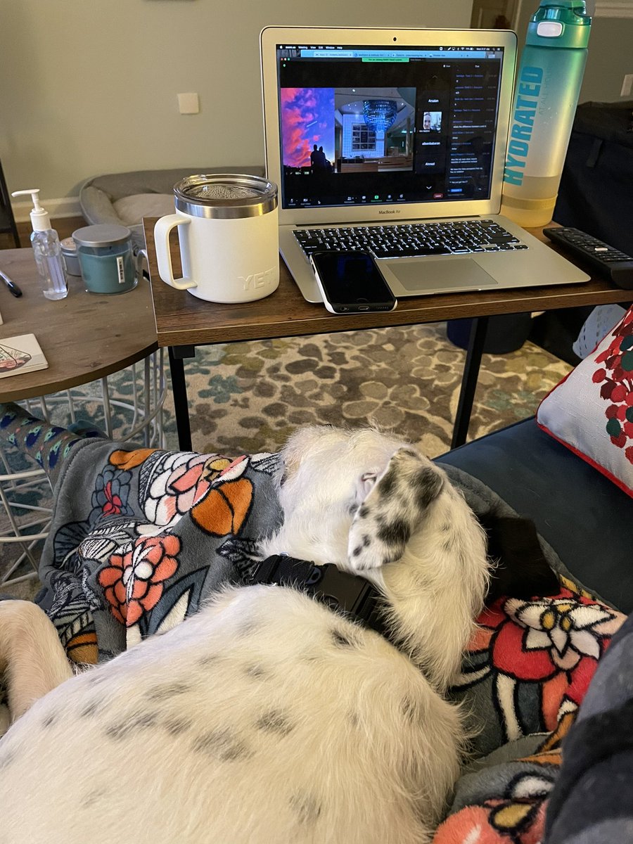 kimbaldino's tweet photo. Best way to enjoy virtual conference 🐶 ☕️ @StJoesEM #EMconference #EMdog https://t.co/5cKFMKeVDH