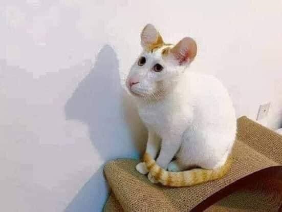 คำว่าฮักเกิดขึ้นที่ใด เกิดกับไผมันบ่สำคัญ