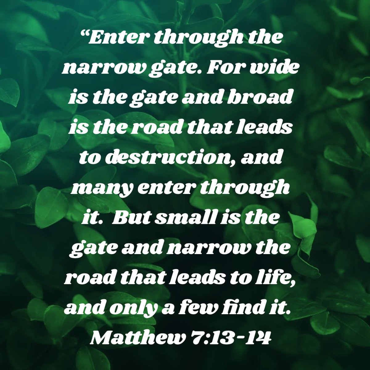“Enter through the narrow gate. For wide is the gate and broad is the road that leads to destruction, and many enter through it.  But small is the gate and narrow the road that leads to life, and only a few find it.
Matthew 7:13-14