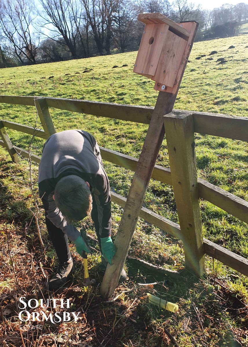 southormsby's tweet photo. The #SaturdayClub returned from its Christmas break to stack logs for the biomass boiler, top up the bird-feeders and install nine more bird-boxes. What began as a perishing, frosty day turned out to be lovely in the sunshine.
#believeinyouth #youthatwork #biomassheating https://t.co/DjbHBAZ0BP