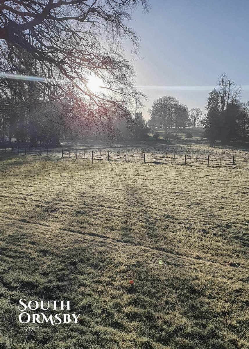 southormsby's tweet photo. The #SaturdayClub returned from its Christmas break to stack logs for the biomass boiler, top up the bird-feeders and install nine more bird-boxes. What began as a perishing, frosty day turned out to be lovely in the sunshine.
#believeinyouth #youthatwork #biomassheating https://t.co/DjbHBAZ0BP