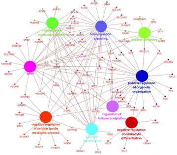 EJBiotechnology's tweet photo. Discovery and #molecular analysis of conserved #circRNAs from #cashmere goat reveal their integrated regulatory network and potential roles in secondary #hair #follicle.
#Bioinformatics
#CircRNA
#transcriptome
#MicroRNA
#Telogen
https://t.co/OJMT29xtMl https://t.co/goB1r3y5eT
