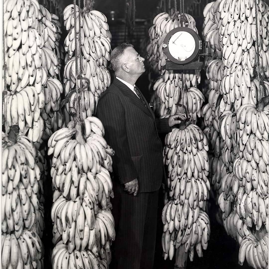 LehighValleywithLove on Twitter "Dan Theodoredis shared these photos